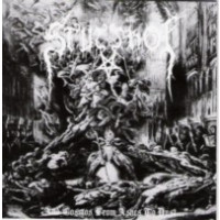 STUTTHOF - And cosmos from ashes to dust