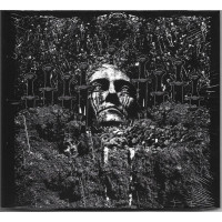 Suicide Forest - Reluctantly