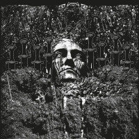 Suicide Forest - Reluctantly