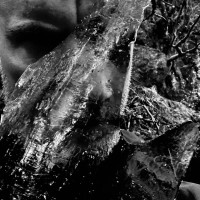 TAAKE - En Skog av Nidstang (Digipack)