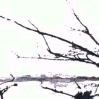 TENHI - Vare