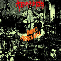 TERRORIZER - World downfall