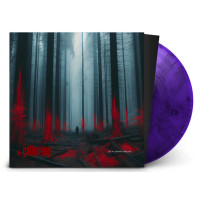 THE GATHERING - Live at Dynamo Open Air