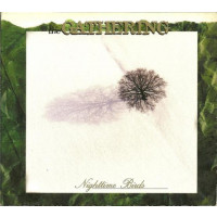 THE GATHERING - Nightime birds