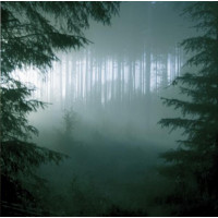 THY SERPENT - Forest of Witchery