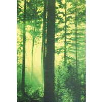 THY SERPENT - Forest of Witchery