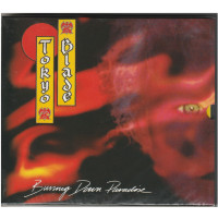 TOKYO BLADE - Burning Down Paradise