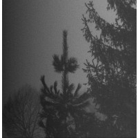  VINTLECHKEIT - ALDRIG... / DODSSTED...