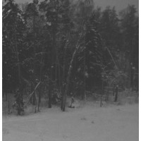  VINTLECHKEIT - Utfordre vintermørke... / Svarte død... / Aldrig...