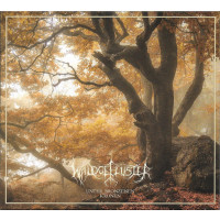 WALDGEFLÜSTER - Unter Bronzenen Kronen