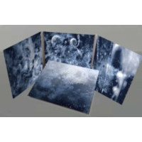 WOLVES IN THE THRONE ROOM - Celestite