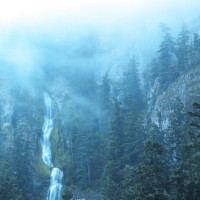 WOLVES IN THE THRONE ROOM - Diadem of 12 Stars