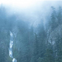 WOLVES IN THE THRONE ROOM - Diadem of 12 Stars