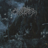 WOLVES IN THE THRONE ROOM - Live At Roadburn 2008