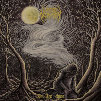 WOODS OF DESOLATION - As the Stars