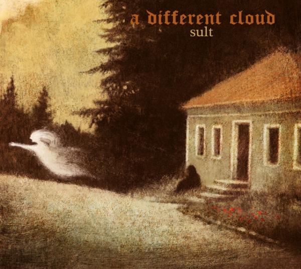 A DIFFERENT CLOUD Sult