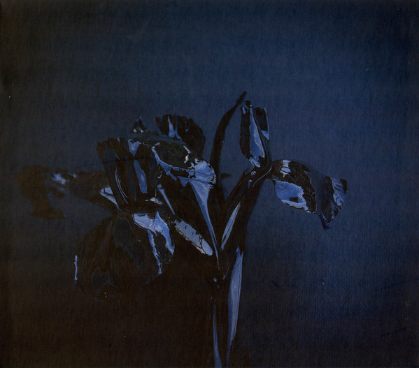 A SWARM OF THE SUN  The rifts