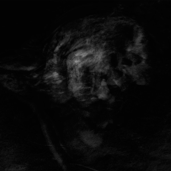 ADAESTUO Tacent Semitae (vinyl)