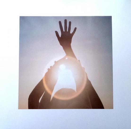 ALCEST Shelter