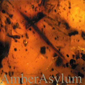 AMBER ASYLUM Frozen in amber