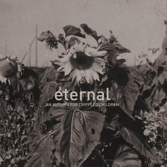 AN AUTUMN FOR CRIPPLED CHILDREN Eternal
