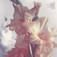 AN AUTUMN FOR CRIPPLED CHILDREN Try Not to Destroy Everything You Love