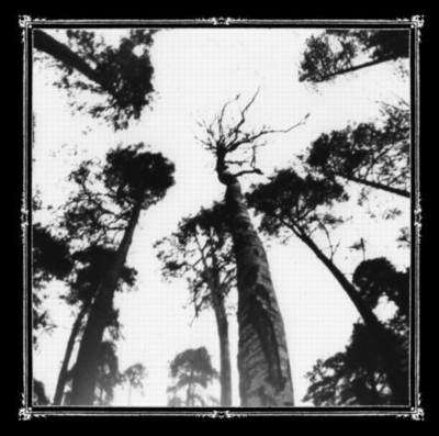 ANCESTORS BLOOD When the forest calls