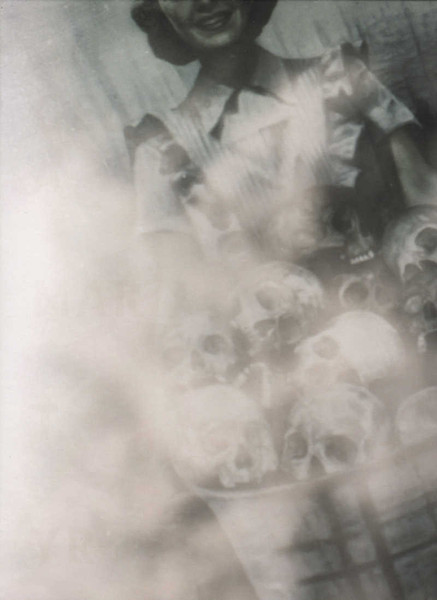 ANGELA MARTYR The November Harvest