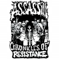 ASSASSIN Chronicles of resistance
