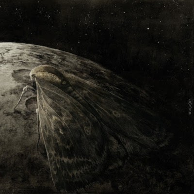 AUGRIMMER Moth and the Moon