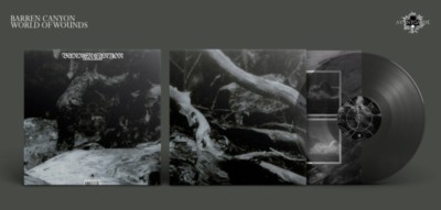 BARREN CANYON World of Wounds