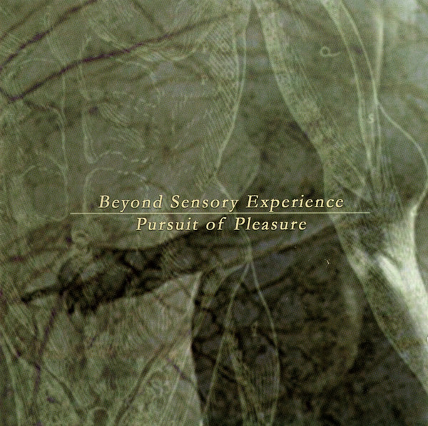 Beyond Sensory Experience Pursuit Of Pleasure