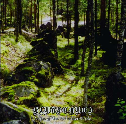 BLUTSCHREI Voice of the forbidden pride