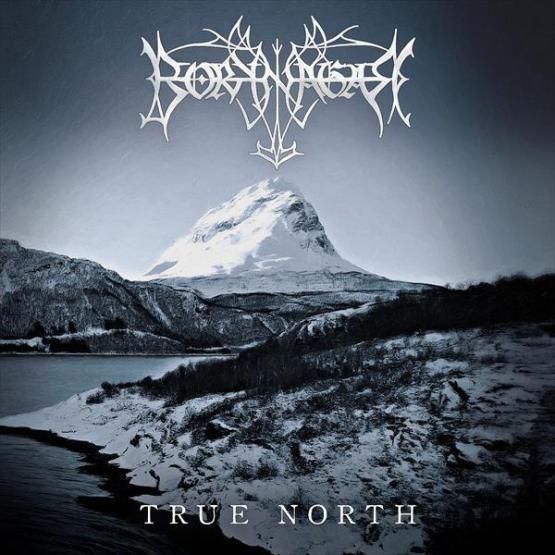 BORKNAGAR True North