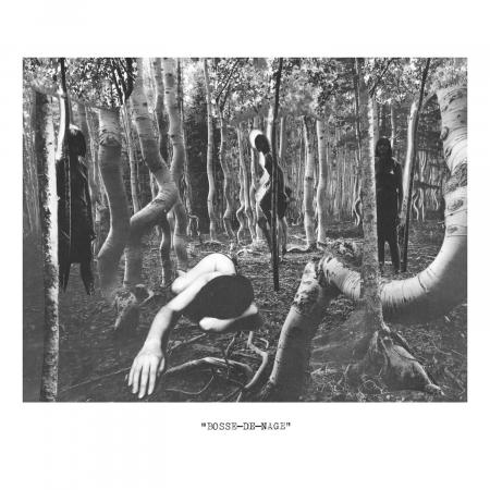 BOSSE-DE-NAGE S/t