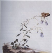 BOTANIST I: The Suicide Tree / II: A Rose from the Dead