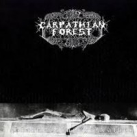 CARPATHIAN FOREST Black shining leather