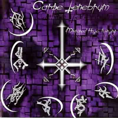 CARPE TENEBRUM Mirrored hate painting