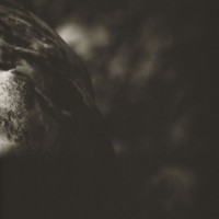 CELESTE Misanthrope(s)