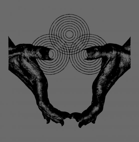 CHAOS ECHOES Transient