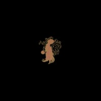 CHRISTICIDE Christicide - LP