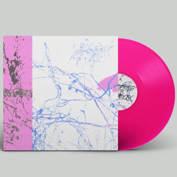 COFFRET DE BIJOUX  J'aeae cràiserais j'squa je n'aïe pluxe d'e vie (pink vinyl)
