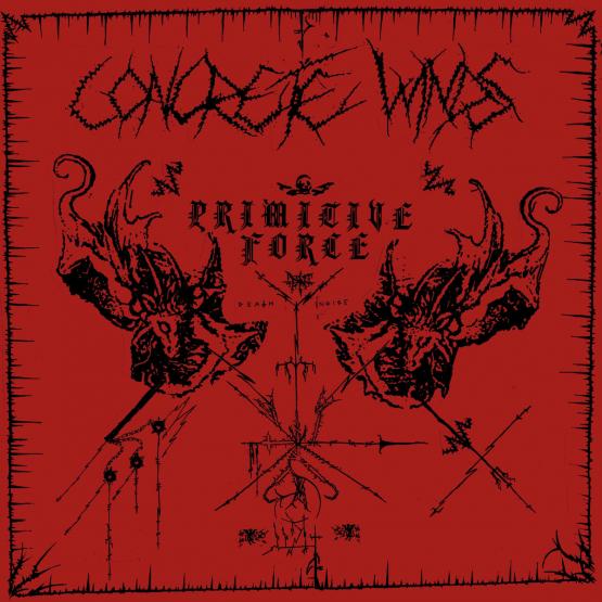 CONCRETE WINDS Primitive force