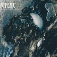 CYNIC Carbon-based anatomy