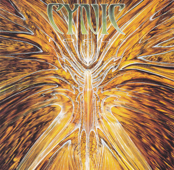 CYNIC Focus