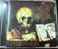 DAWN - CARDINAL SIN Sorgh Pa... / Spiteful intents