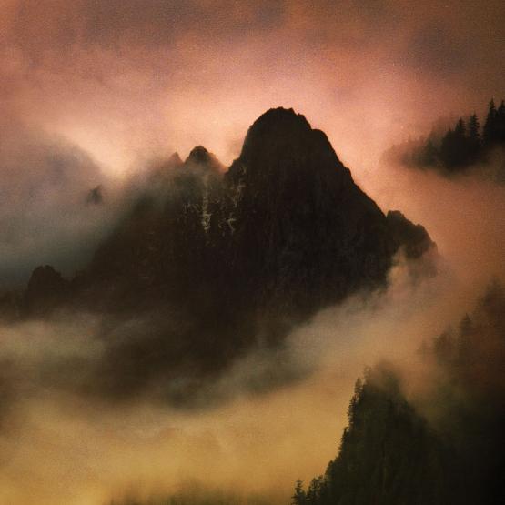 DEAD TO A DYING WORLD Elegy