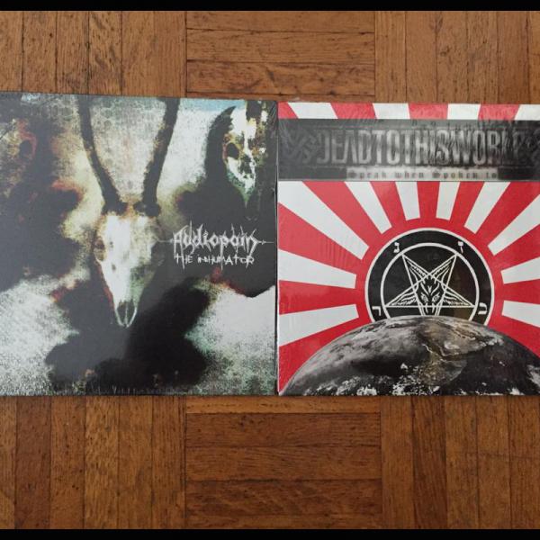 DEAD TO THIS WORLD split 7" with AUDIOPAIN