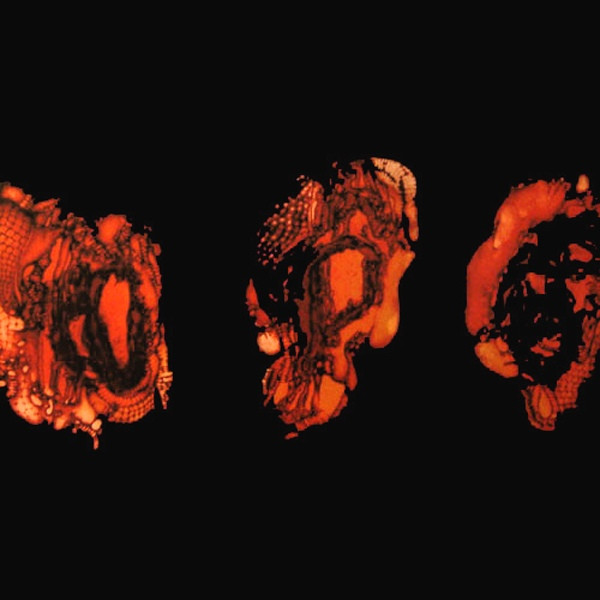 DEATHSPELL OMEGA Kenose