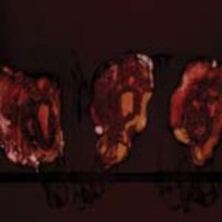 DEATHSPELL OMEGA Kenose